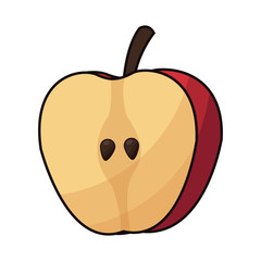 apple fruit icon over white background. colorful design. vector illustration