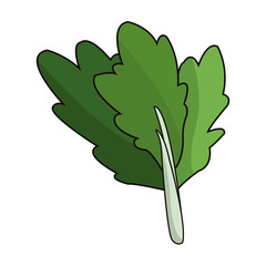 celery vegetable icon over white background. colorful design. vector illustration