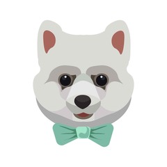 West Highland White Terrier puppy portrait isolated on white