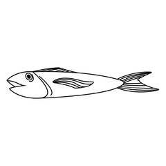fish food icon over white background. vector illustration