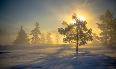 Foggy Day