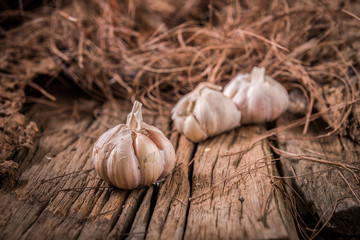 garlic on wood