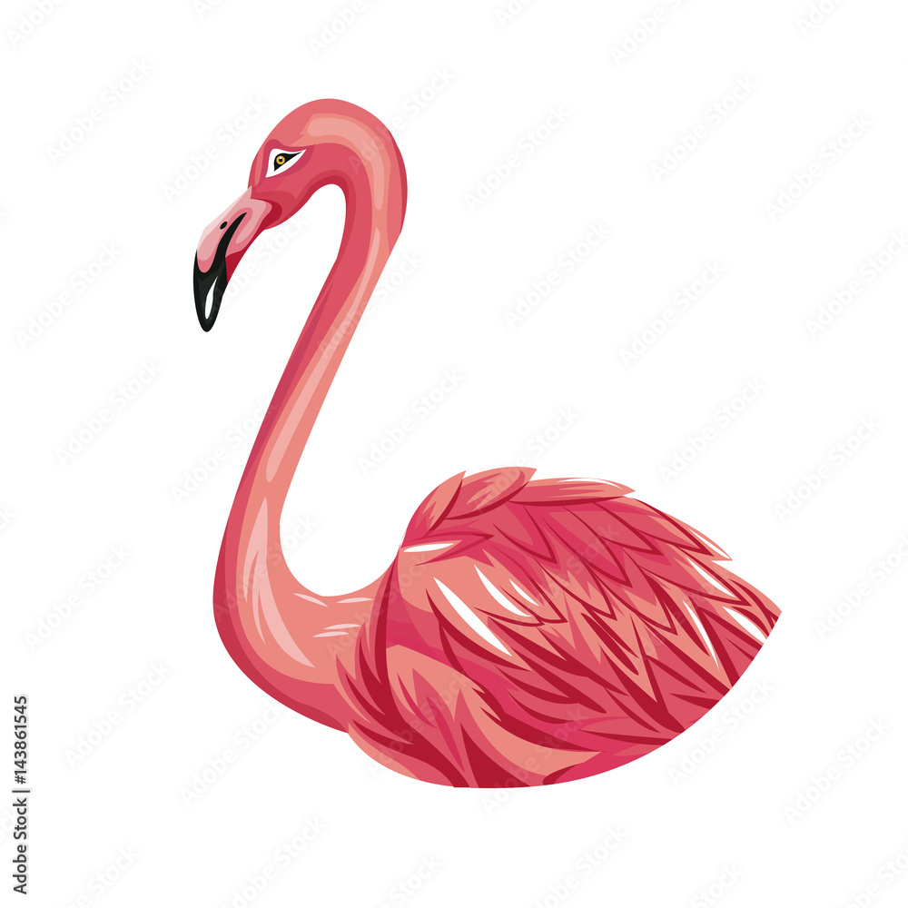 Wall mural pink flamingo bird icon over white background. colorful design. vector illustraiton