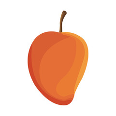 mango fruit icon over white background. colorful design. vector illustration