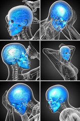 3d rendering  medical illustration of the skull © maya2008