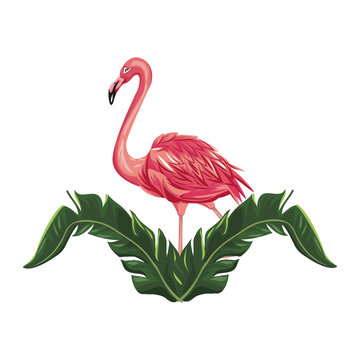 Tropical Leaves And Pink Flamingo Bird Icon Over White Background. Colorful Design. Vector Illustraiton