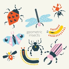 Set of vector insects. Simple geometric shapes, bright colors.
