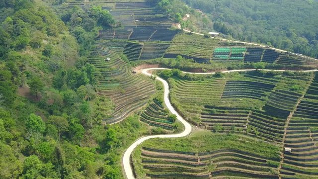 Aerial shot with from a drone. Flying over tea plantation at Doi Ang Khang, Fang City, Chiang Mai, Thailand.
