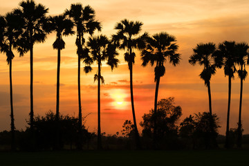 Obraz premium Sunset