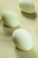 Egg of chicken on fabric,selective focus