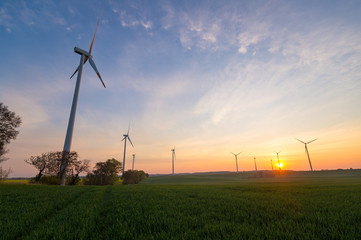 Windmills (wind turbines) in a field at sunrise