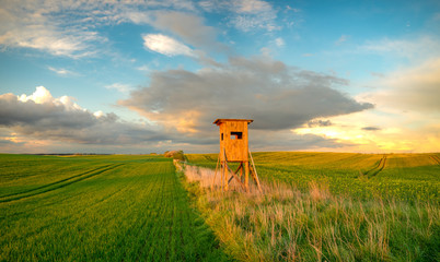 spring field in Germany, agricultural land in Brandenburg