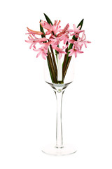 Floral composition frame made of hiacintus flowers
