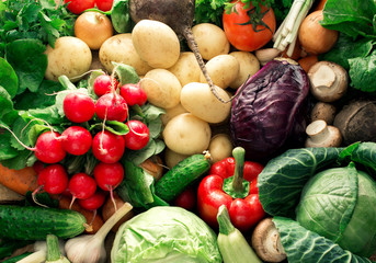 Colorful vegetables background. Set of fresh vegetables close up