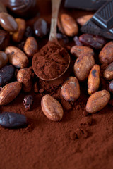 cocoa and chocolate candies
