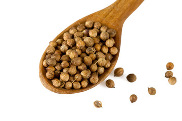 Coriander (cilantro seeds) isolated on white