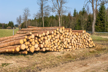 Wooden logs or trunks of trees cut and stacked on the ground