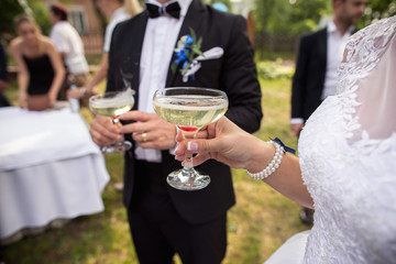 Wedding party, bride and groom with champagne glasses