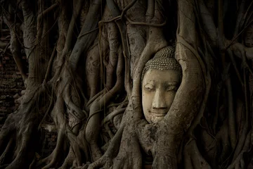 Photo sur Plexiglas Bouddha Buddha Image Head
