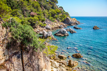 panoramic view of seashore with rock cliff
