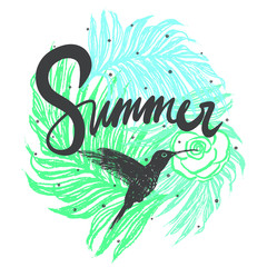 Ink hand drawn Summer illustration with Hummingbird