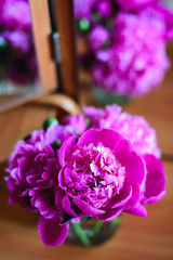 close-up pink peonies in glass jar on table with mirror reflection, congratulations for everyday concept