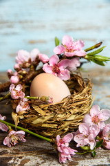 Easter egg in nest
