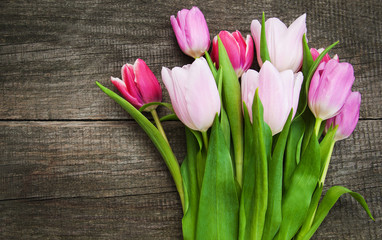 Spring tulip flowers
