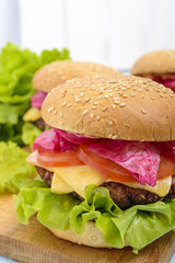 Hamburgers with juicy cutlet, tomatoes, pickled cabbage and cucumbers, cheese, green lettuce leaves and a soft bun with sesame