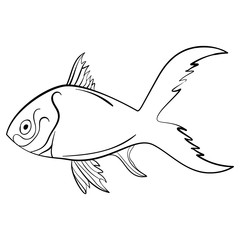 Ink sketch fish