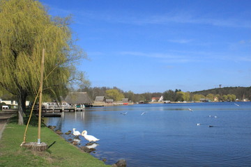 Frühling am Krakower See in Mecklenburg