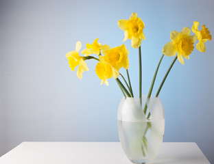 Narcissuses in a glass vase on a white table.