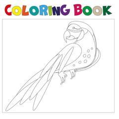 Coloring pages Parrot .