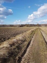 Fototapeta premium Droga polna