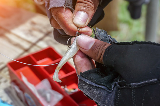 Angler Tying A Fishing Hook To Rubber Worm Lure
