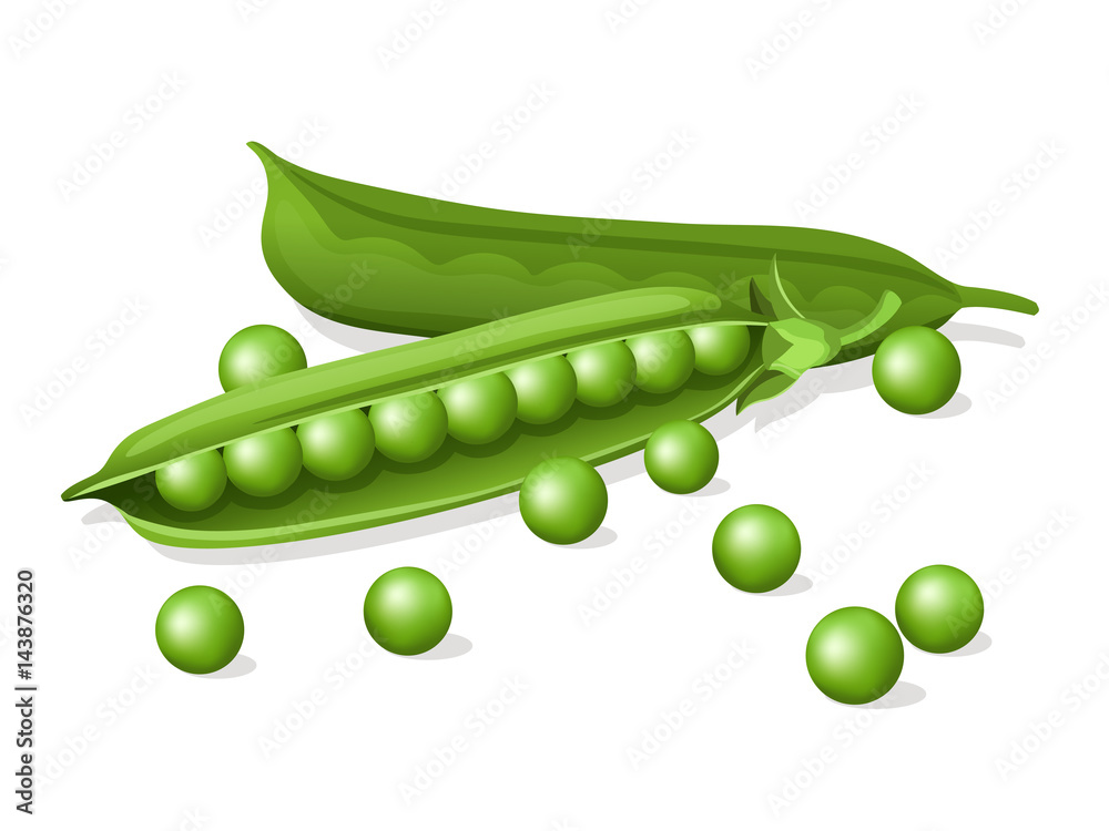 Wall mural green pea