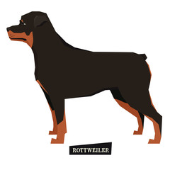 Dog collection Rottweiler Geometric style