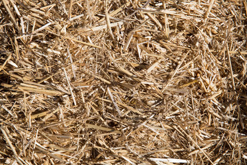 background of dry hay.