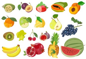 Set of colored juicy fruits on white background. Vector illustration.