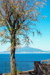Fototapeta na wymiar Mount vesuvius and gulf of Naples seen from Sorrento