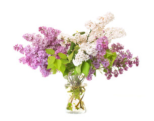 bouquet of  lilac