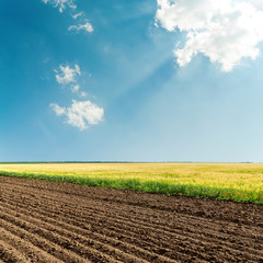 sun over clouds in blue sky and agricultural fields