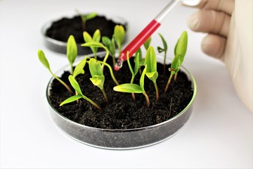 An image of organic chemistry