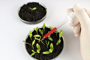 An image of biotechnology