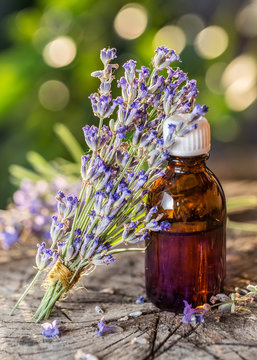 Bunch of lavandula or lavender flowers and oil bottle are on the old wooden table.