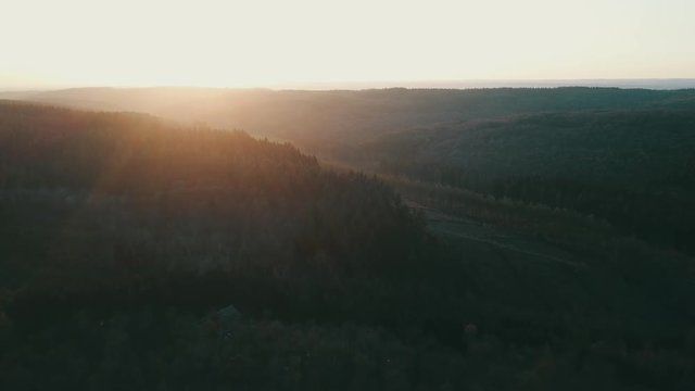 Aerial: Autumnal landscape of colorful trees in a valley in Belgian ardennes during sundown