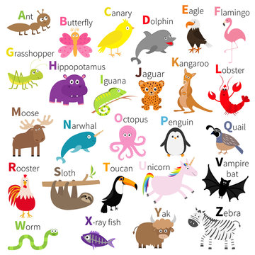 Zoo animal alphabet. Cute cartoon character set. White background. Baby children education. Butterfly, dolphin, flamingo, jaguar, lobster, penguin sloth kangaroo bat eagle unicorn Flat design