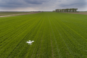 Drone flying over wheat field