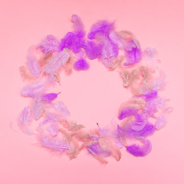 colored feathers of a bird laying on a pink background in the form of frames © Katya Havok