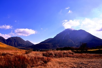 鶴見岳の紅葉と冬桜